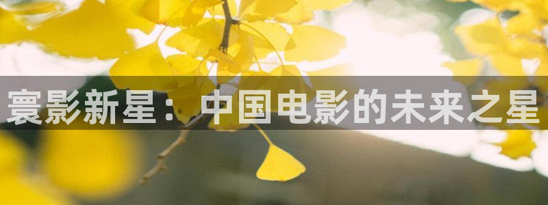 飞马影视：寰影新星：中国电影的未来之星