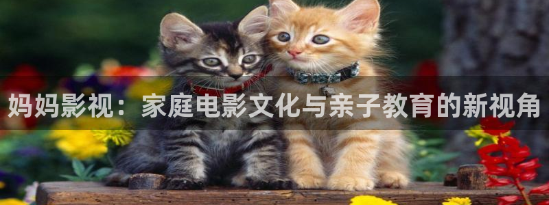 飞马影院在线观看：妈妈影视：家庭电影文化与亲子教育的新视角