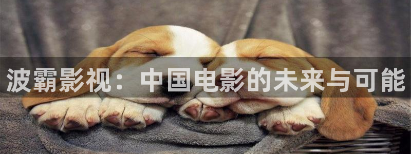飞马影视电影
