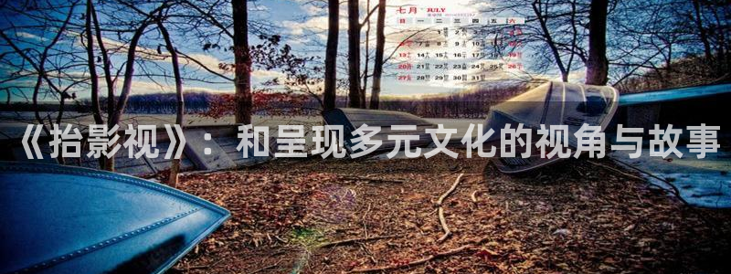 飞马影院免费下载：《抬影视》：和呈现多元文化的视角与故事