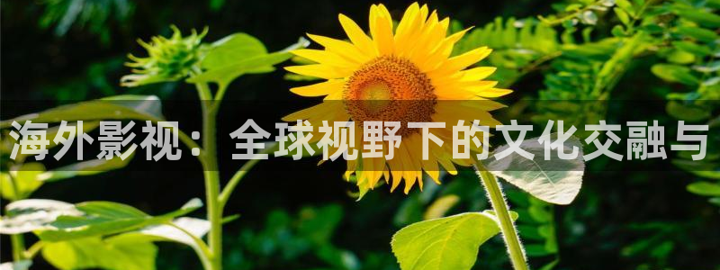 飞马影院下载：海外影视：全球视野下的文化交融与