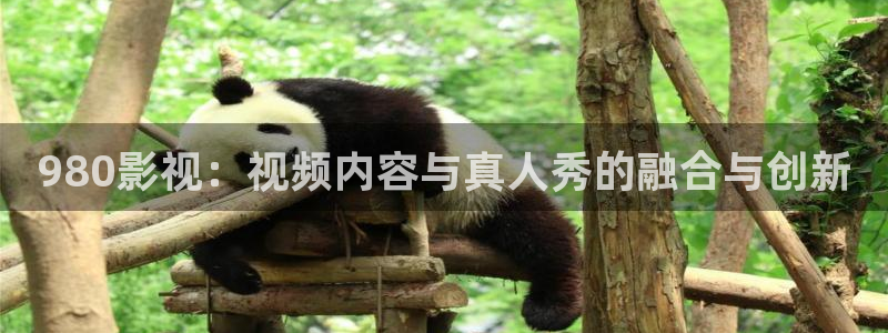 飞马影院app
