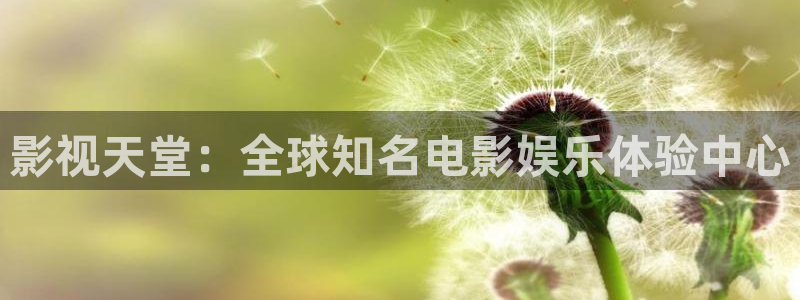 飞马良子影视有限公司